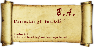 Birnstingl Anikó névjegykártya