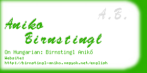 aniko birnstingl business card